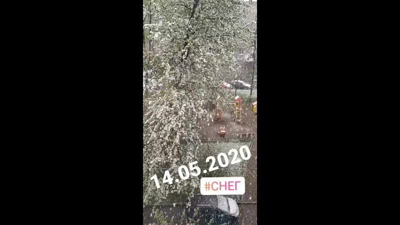 VID_36840524_191830_663.mp4