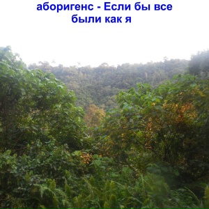 Если бы все были как я
