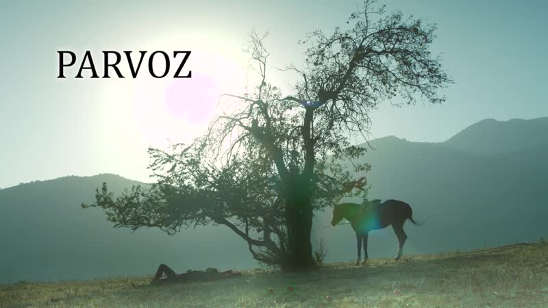PARVOZ (ПОЛЕТ) трейлер