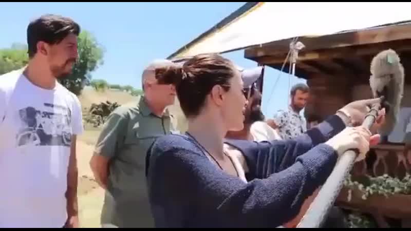 2319690082025583474.mp4